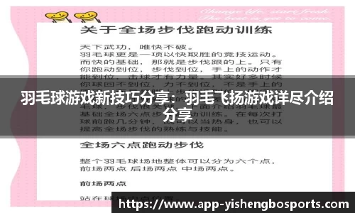 羽毛球游戏新技巧分享：羽毛飞扬游戏详尽介绍分享